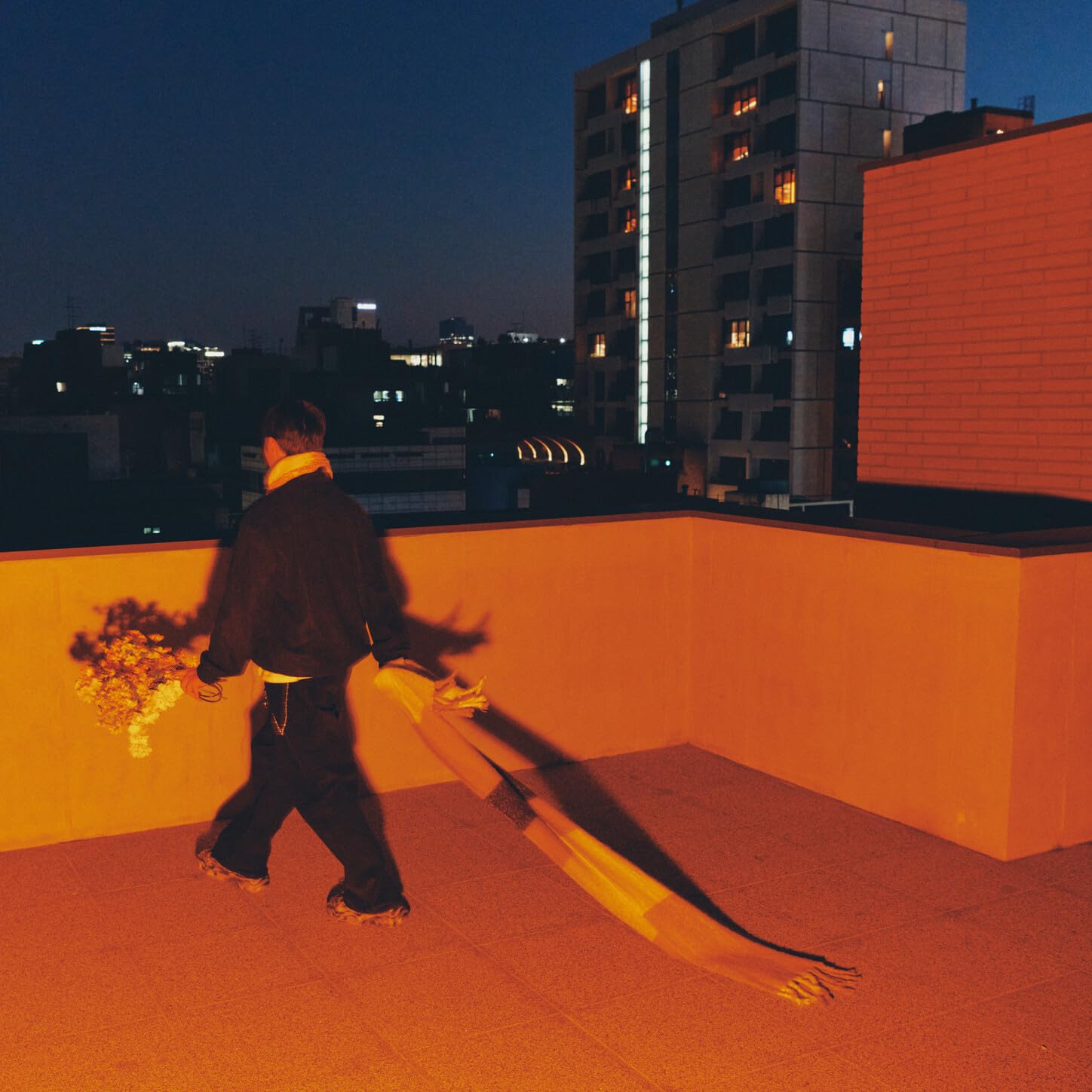 Image Cover